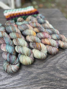 Rhinebeck 2023 Colorway