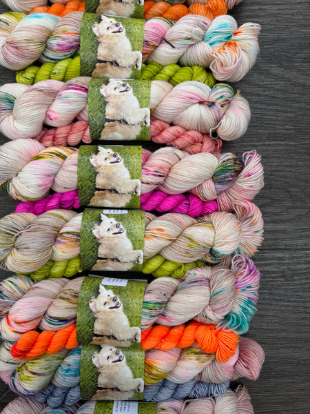 ‘A Walk With Buddy’ Sock Set