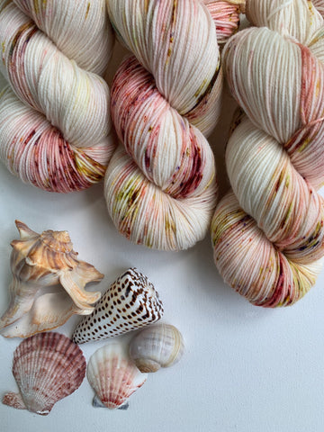 Sea Shells - PREORDER